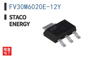 FV30M6020E-12Y ͼƬ